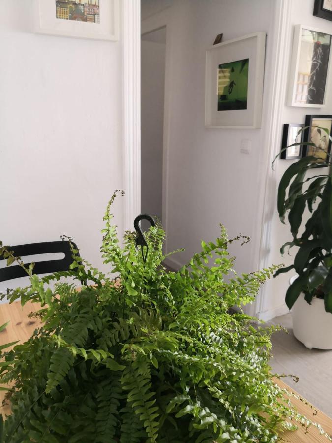דירות מאלגה My Quiet House מראה חיצוני תמונה