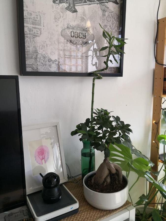 דירות מאלגה My Quiet House מראה חיצוני תמונה