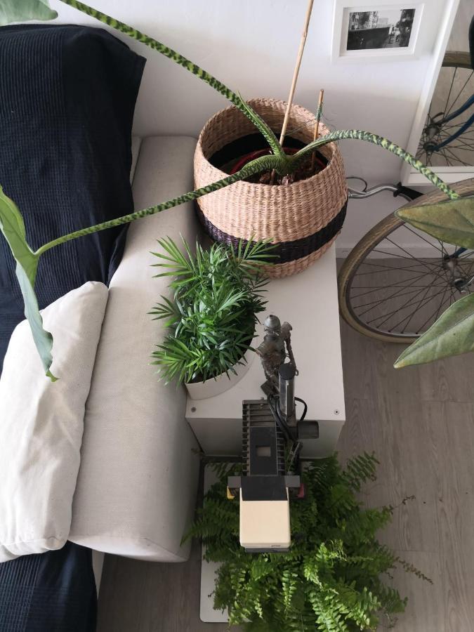 דירות מאלגה My Quiet House מראה חיצוני תמונה